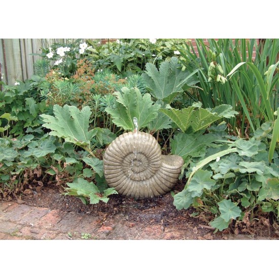 Grand Ammonite Fossil Stone Garden Water Feature