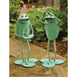 Frog Birdwatcher