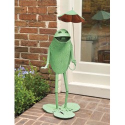 Frog with Umbrella