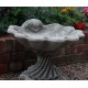 Stunning Stone Shell Sculpture Garden Bird Bath