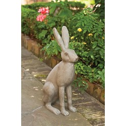Proud Bunny