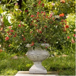 31 Inch Tall Urn Style Flower Planter Color Option