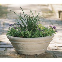 Pansy Planter