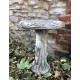 Stunning Stone Tree Trunk Design Garden Bird Bath