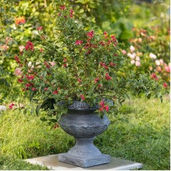 17 Inch Tall Urn Style Flower Planter Color Option