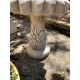 Stunning Stone Sunflower Design Sculpture Garden Bird Bath