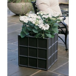 Downing Street Planter