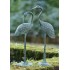 Small Cranes