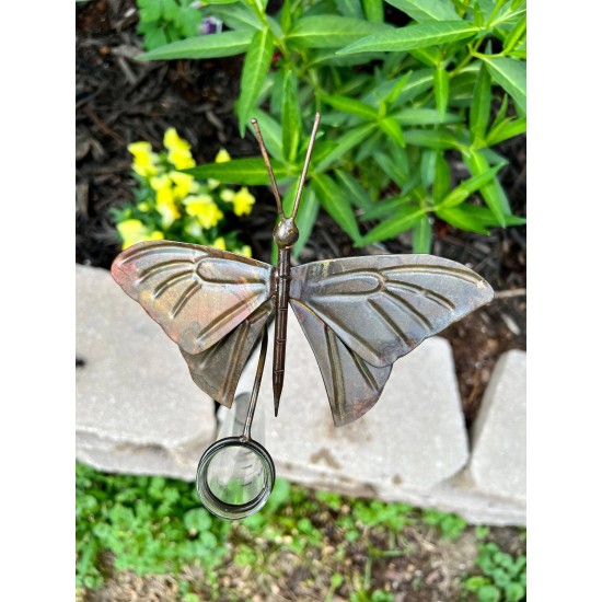 Butterfly Rain Gauge