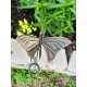 Butterfly Rain Gauge