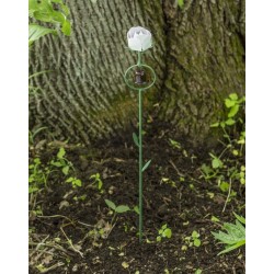 White Rose Garden Stake