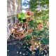Bee Spiral Garden Stake with Bells