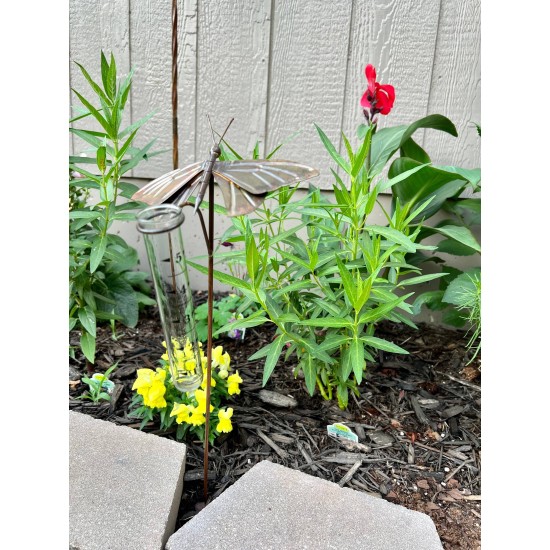 Butterfly Rain Gauge