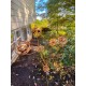Bee Spiral Garden Stake with Bells