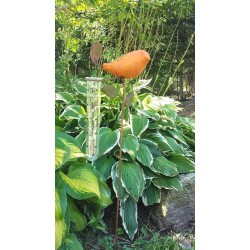 Spice Bird Rain Gauge