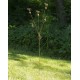 Butterflies and Bells Garden Stake