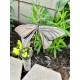 Butterfly Rain Gauge