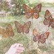 Butterfly Whimsy Flutterer