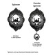 Loon Duck Cloud Bird Swirly Metal Wind Spinner