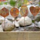 Oregano Herb Garden Stake