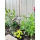 Butterfly Rain Gauge