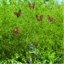 Butterfly Whimsy Flutterer