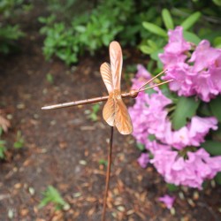 Dragonfly Garden Stake