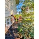 Bee Spiral Garden Stake with Bells