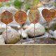 Dill Herb Garden Stake
