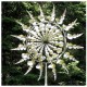 Magical Metal Windmill-Kinetic Metal Wind Spinners