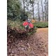 Ladybug  Garden Stake Decorative Ladybug Yard Stake, Metal Insect Yard Art Decor for Patio Porch Lawn Pathway