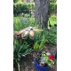 Cutout Daisy Garden Stake