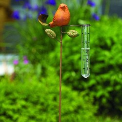 Spice Bird Rain Gauge