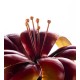 Spinning Flower Garden Stake Trio