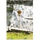 Birdhouse and Bell Garden Stake