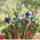 Mini-Blossom Hummingbird Feeders- Staked