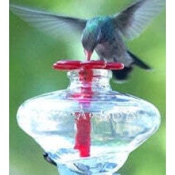 Mini-Blossom Hummingbird Feeders- Staked