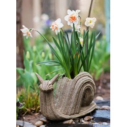 Cute Snail Statues, Garden Animal Statues, Snail Flowerpot for Garden Decoration, Unique Modern Garden Sculptures, Creative Villa Outdoor Gardening Ideas