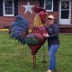 60" Colorful Iron Rooster Statue