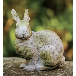 Alert Bunny