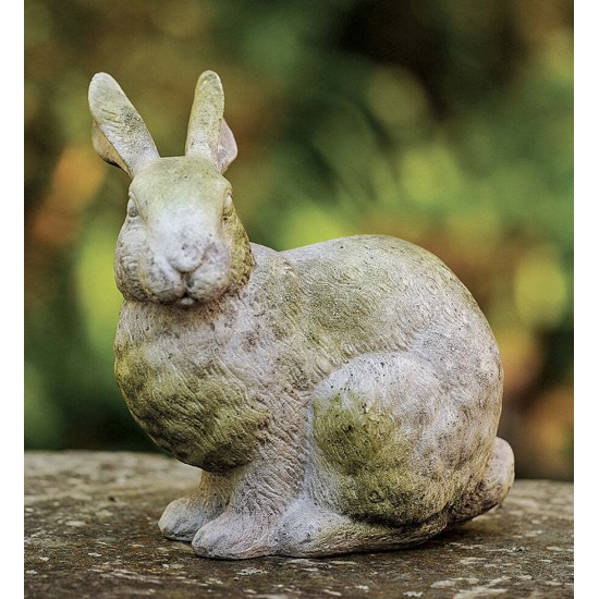 Alert Bunny