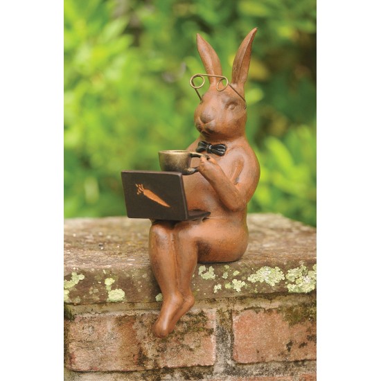Rabbit with Laptop