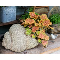 Snail Flowerpot for Garden Decoration, Cute Snail Statues, Garden Animal Statues, Unique Modern Garden Sculptures, Creative Villa Outdoor Gardening Ideas