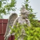 74.5" Magnesium Garden Angel Statue – Evellyn