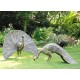 Majestic Peacocks (Set of 2)