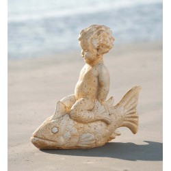 Boy on Fish