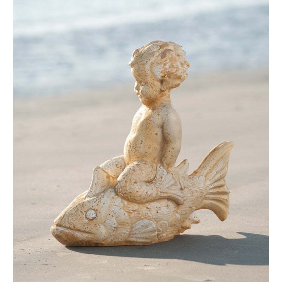 Boy on Fish