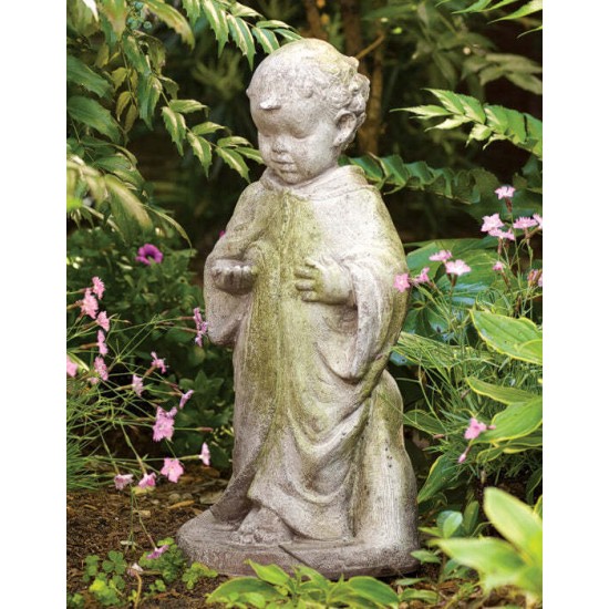 Young Saint Francis