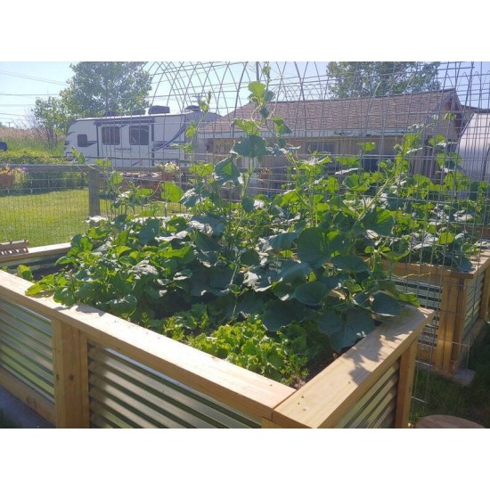 Vegeta Corrugated Metal Raised Garden Bed