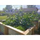 Vegeta Corrugated Metal Raised Garden Bed
